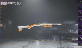 吃鸡升级枪皮肤爆料最新,炫酷外观，性能提升！