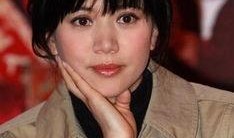 娱乐吃瓜酱袁咏仪,娱乐圈的“吃瓜酱”，揭秘明星背后的故事